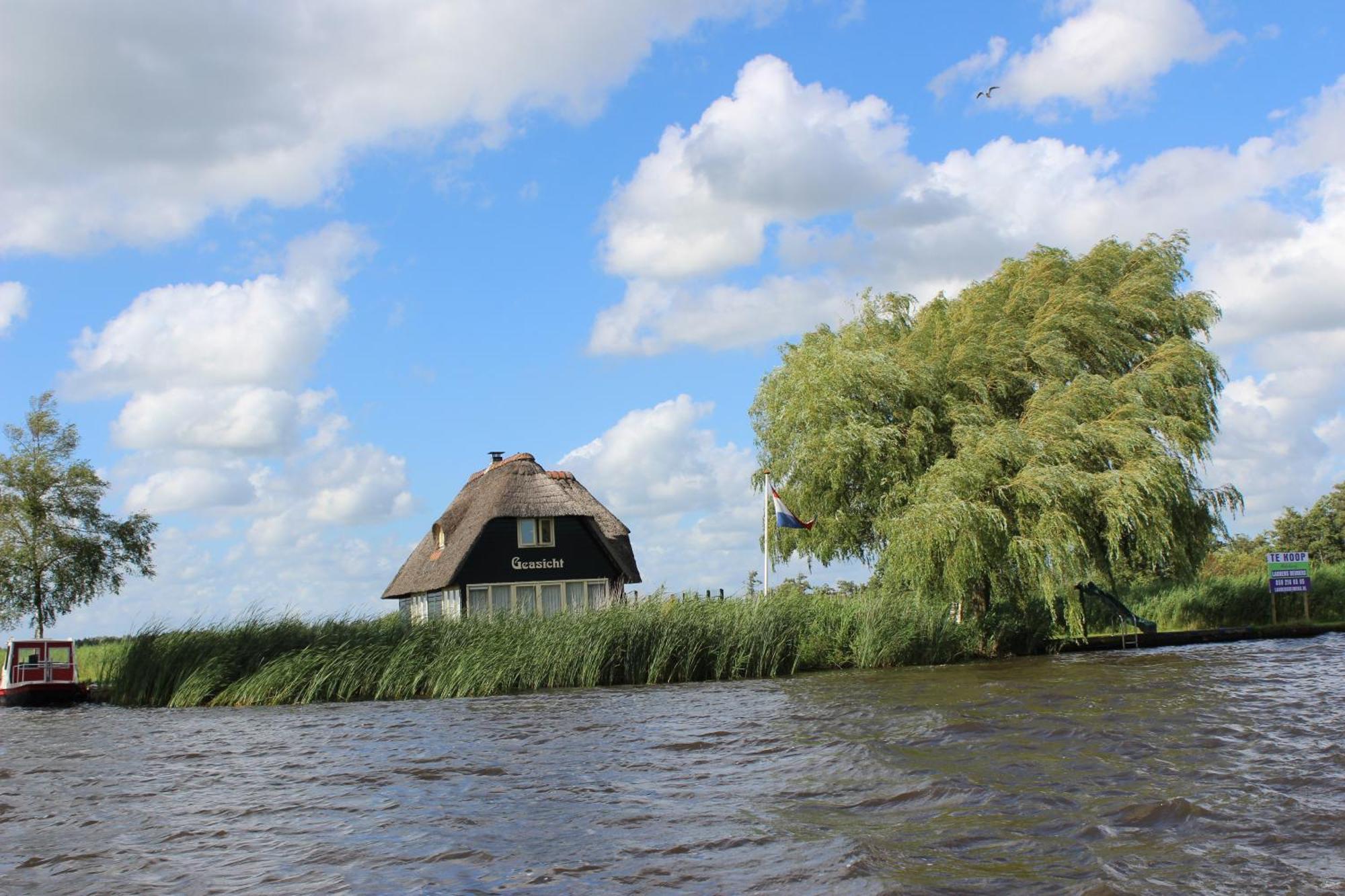 Wartena Hoeve - Vega B&B Екстер'єр фото